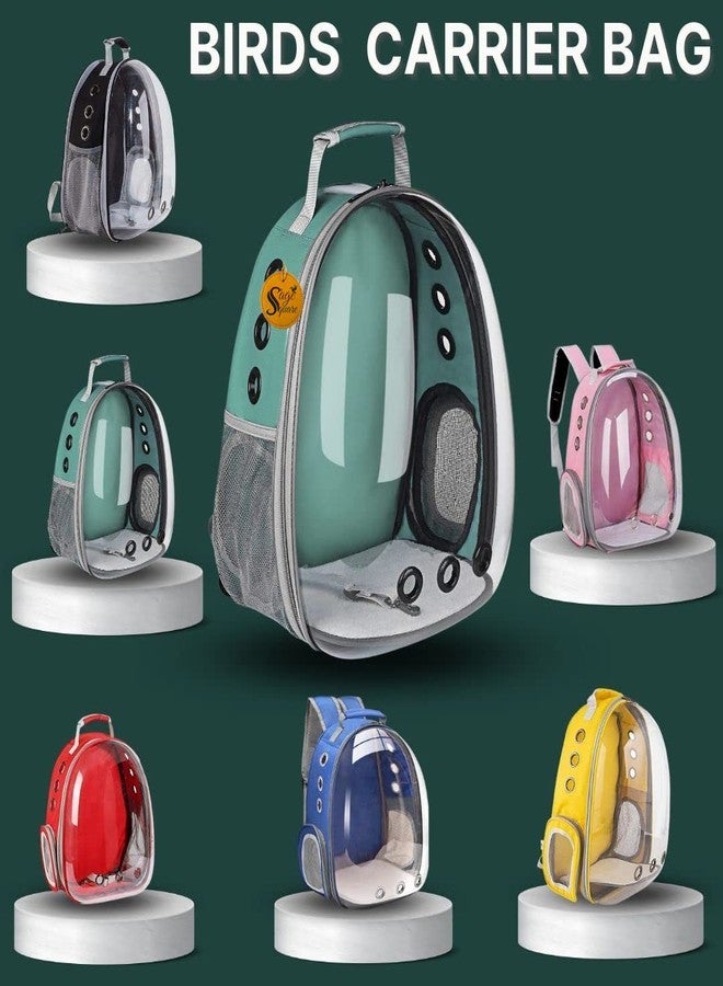 سايج سكوير حقيبة ظهر لحمل الطيور من سيج سكوير، حقيبة ظهر صغيرة لحمل الطيور الصغيرة والمتوسطة، حقيبة ظهر شفافة جيدة التهوية لحمل الحيوانات الأليفة والطيور أثناء المشي لمسافات طويلة (أخضر) - Image 4